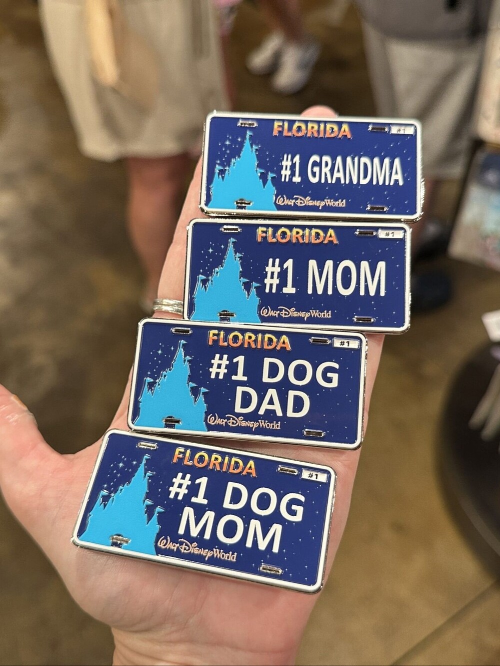 Disney Parks  4 - WDW License Plate Magnets